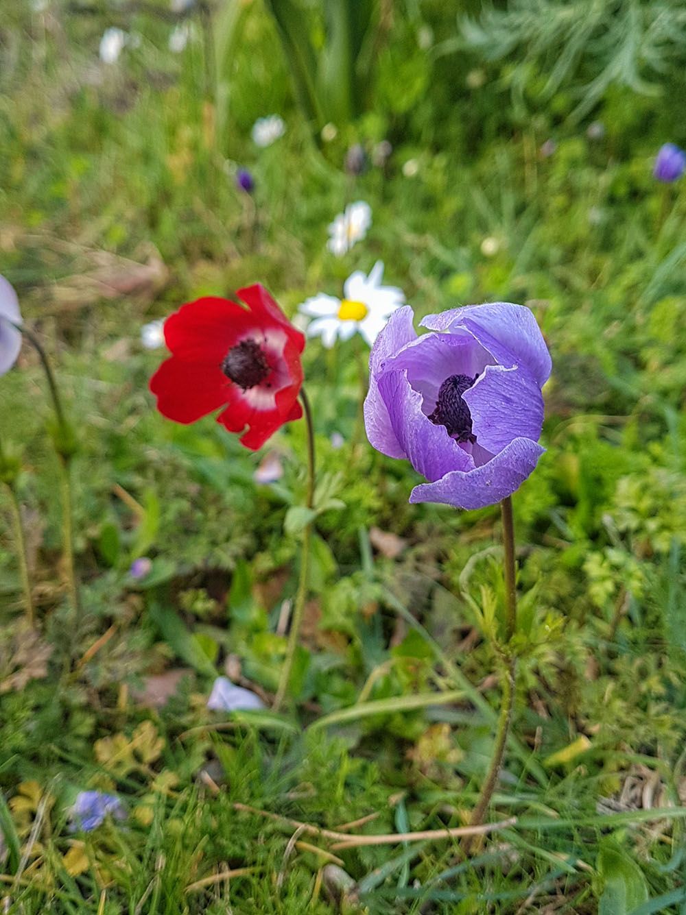 Gizli güzelliklerinden biri Muğla Kartal Kanyonu.